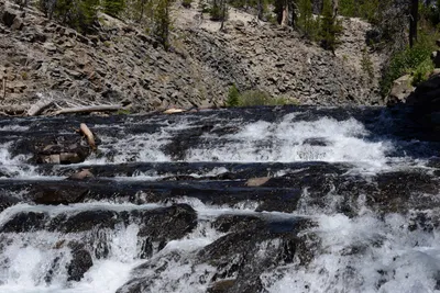 DSC_3591 (Large).JPG